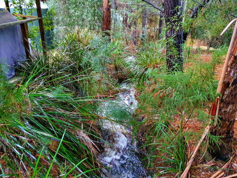 Roland B&B - QLD Tourism 22