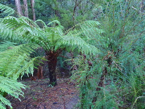 Roland B&B - QLD Tourism 21