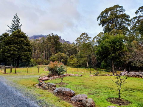 Roland B&B - QLD Tourism 19