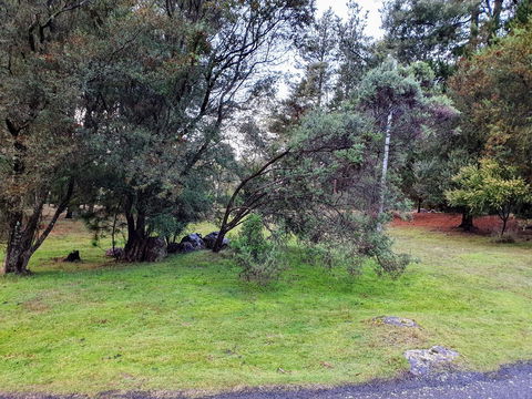 Roland B&B - QLD Tourism 20