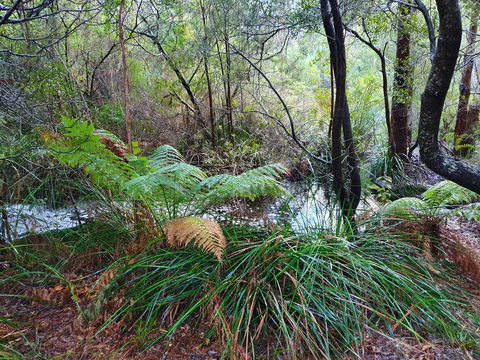 Roland B&B - QLD Tourism 29