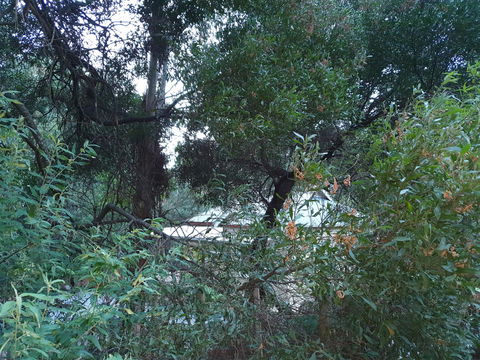 Roland B&B - QLD Tourism 44