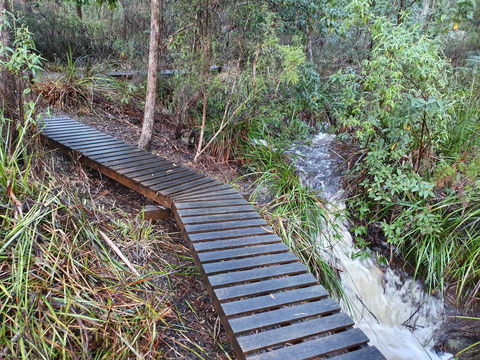 Roland B&B - QLD Tourism 28