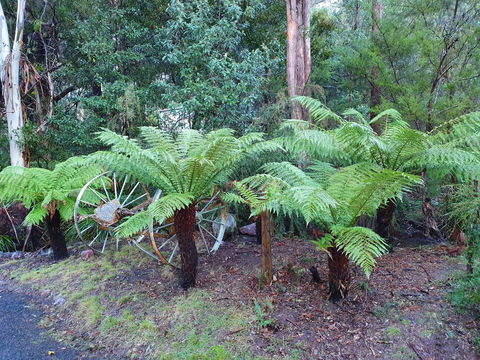 Roland B&B - QLD Tourism 33