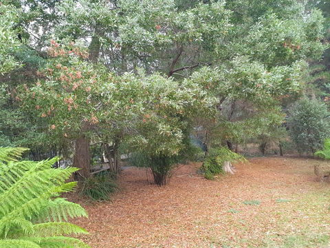 Roland B&B - QLD Tourism 40