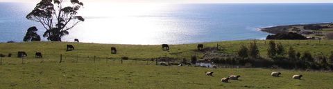 Penguin Seaside Farm - Queensland Tourism 2