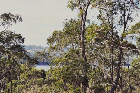 Oyster Cove Chalet - QLD Tourism 17