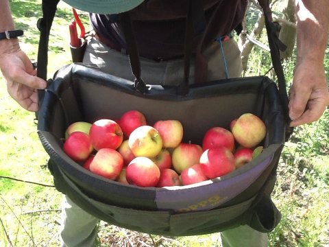 Eureka Farm - Queensland Tourism 24