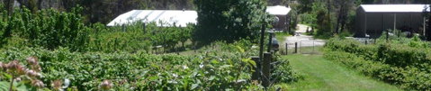 Eureka Farm - Queensland Tourism 25