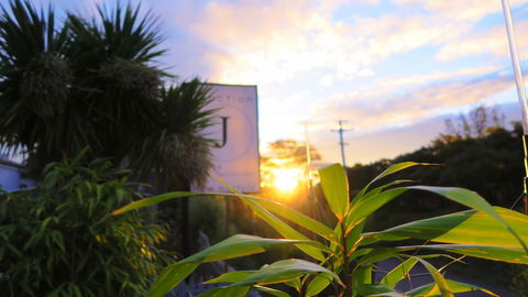 New Norfolk Junction Motel - Queensland Tourism 31