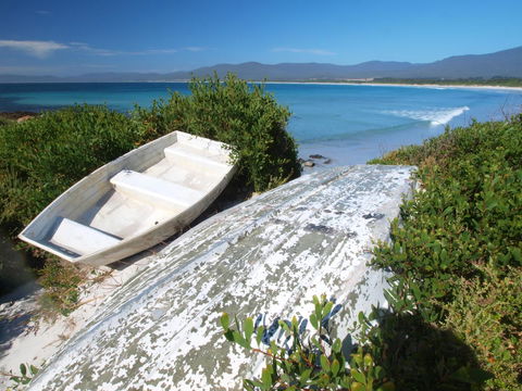 Seymour Waves - Queensland Tourism 23