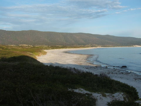 Seymour Waves - Queensland Tourism 20
