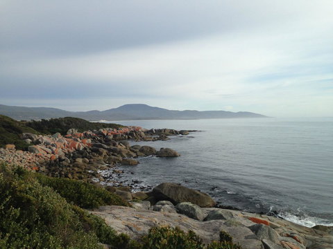 Seymour Waves - Queensland Tourism 12