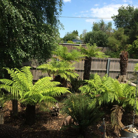 Pinestumps Holiday Home - QLD Tourism 14