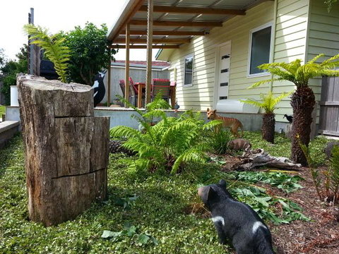 Pinestumps Holiday Home - QLD Tourism 12