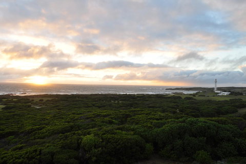 Island Breeze Motel - QLD Tourism 1