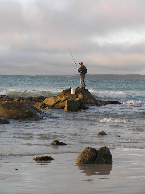 Island Breeze Motel - QLD Tourism 12