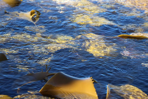 Blu-Sea 365 - QLD Tourism 28