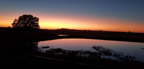 New Horizons Farm Stay - QLD Tourism 1