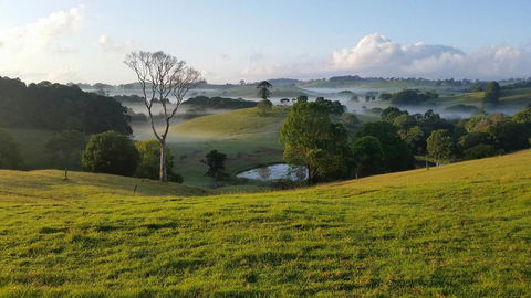 Newyan @ Maleny - Queensland Tourism 3