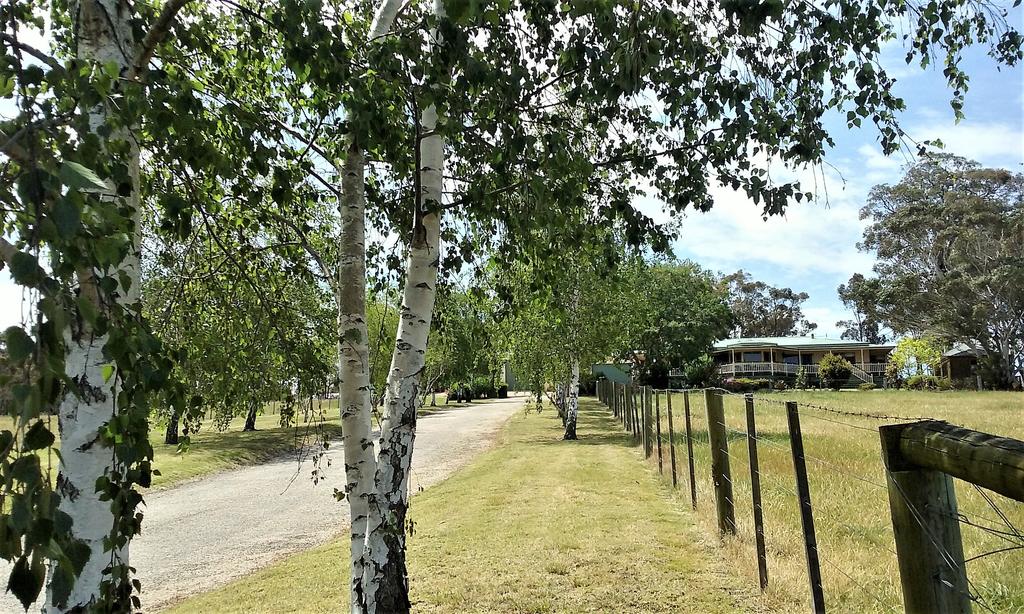 Nicholson VIC QLD Tourism