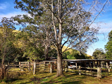 Nirvana Spiritual Retreat - Queensland Tourism 1