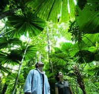 NRMA Cairns Holiday Park - QLD Tourism