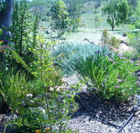 Old Miners' Cottages Bed and Breakfast - QLD Tourism
