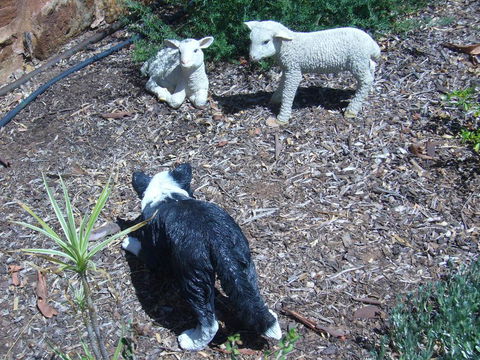 Old Miners' Cottages Bed And Breakfast - QLD Tourism 2