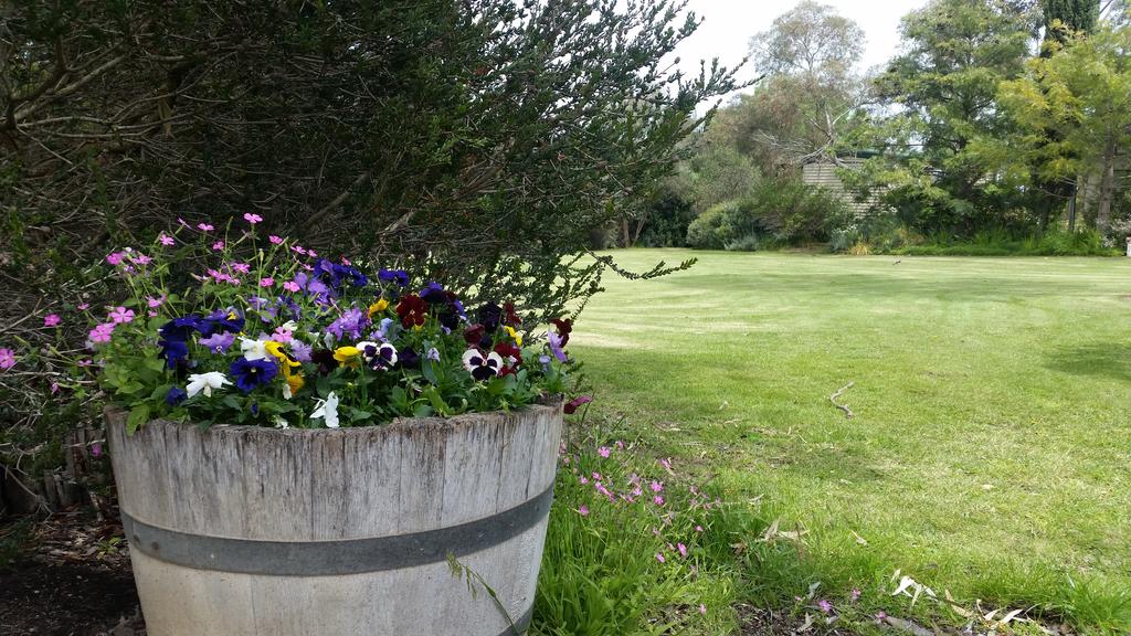Padthaway SA QLD Tourism