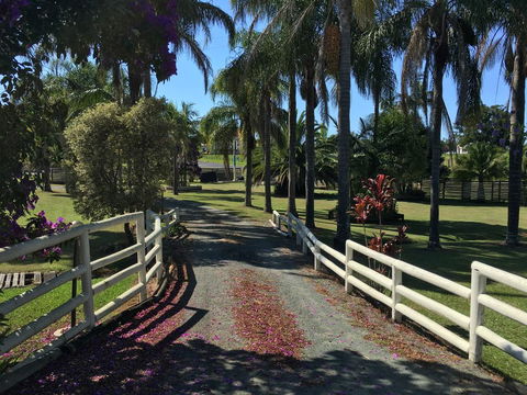 Palms Oasis Motel - QLD Tourism 3