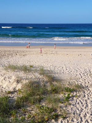 Palmy Sea Breeze