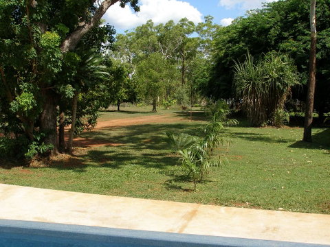 Pandanus On Litchfield - QLD Tourism 3