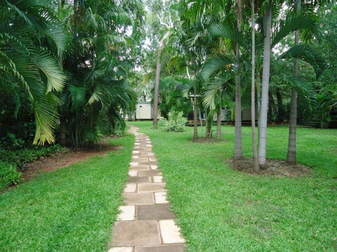 Pandanus On Litchfield - QLD Tourism 0