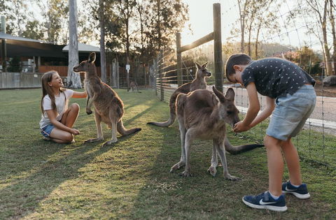 Paradise Country Farmstay - QLD Tourism 1