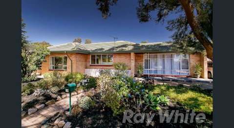 Pasadena Quinlan - Queensland Tourism 0