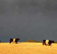 Peppertree Hill - QLD Tourism