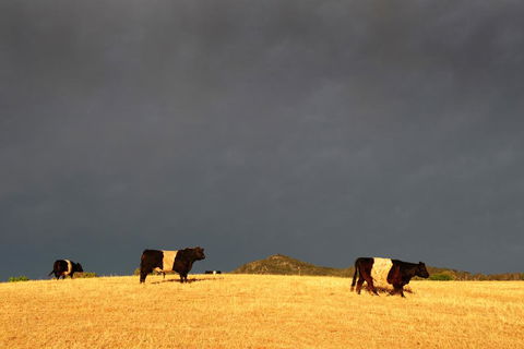 Peppertree Hill - QLD Tourism 0
