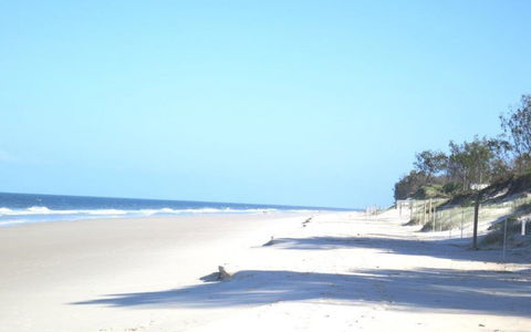 Pet Friendly Home Walking Distance To Surf Beach - North St, Woorim - QLD Tourism 3