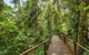Piermonde Apartments Cairns - thumb 3