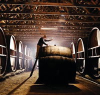 Pieter van Gent Winery  Vineyard - QLD Tourism