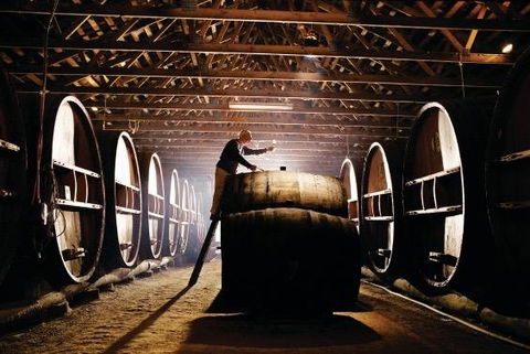 Pieter Van Gent Winery & Vineyard - QLD Tourism 0
