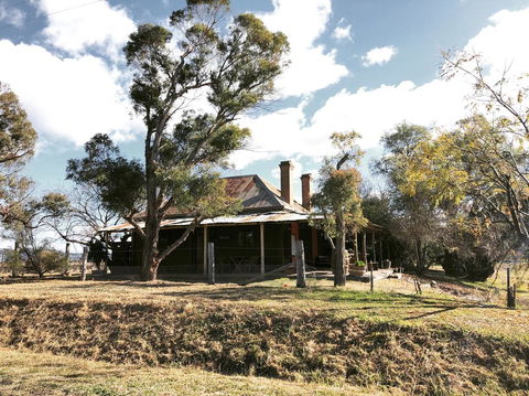 Pieter Van Gent Winery & Vineyard - QLD Tourism 3