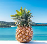 Pineapple House Whitsundays - Queensland Tourism
