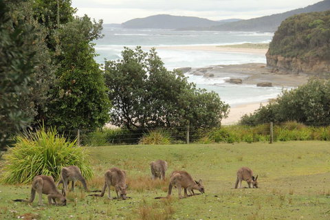 Pretty Beach Cabins - QLD Tourism 3