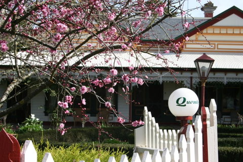 Quamby Homestead - QLD Tourism 2