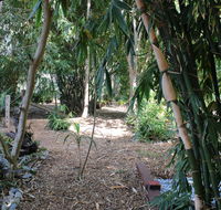 Rainforest Water Front River Shack Secluded. - Queensland Tourism
