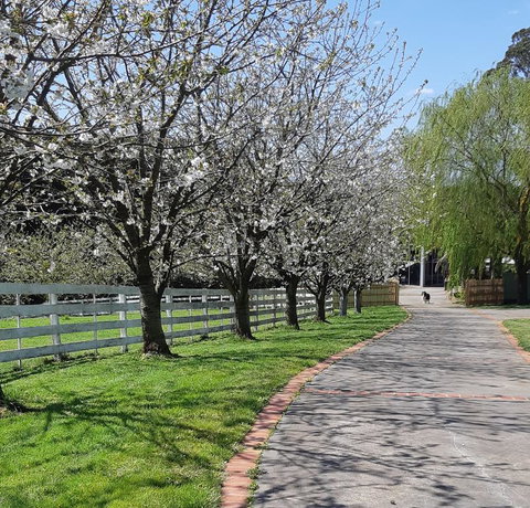 Ray's Farm - QLD Tourism 1