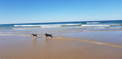 Red Door Beach House - Marcoola Beach - PET FRIENDLY, FOXTEL, WIFI, 500 BOND, Linen Supplied - QLD Tourism 1