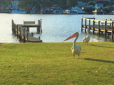 Riverfront Getaway - Mannum - Queensland Tourism 0